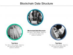 Blockchain data structure ppt powerpoint presentation model cpb
