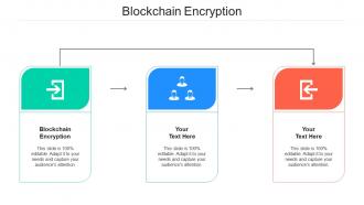 Blockchain encryption ppt powerpoint presentation summary maker cpb