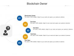 Blockchain owner ppt powerpoint presentation summary icon cpb