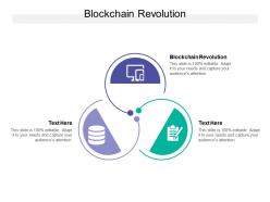 Blockchain revolution ppt powerpoint presentation professional good cpb