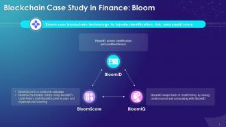 Blockchain Technology Case Study On Credit Score And Risk Modelling Training Ppt