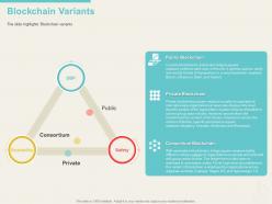 Blockchain variants square ppt powerpoint presentation icon images