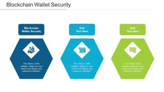 Blockchain Wallet Security Ppt Powerpoint Presentation Styles Brochure Cpb