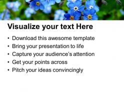 Blooming flowers nature powerpoint templates ppt themes and graphics 0213