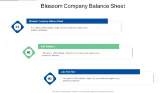 Blossom Company Balance Sheet In Powerpoint And Google Slides Cpb