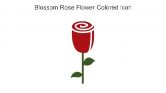 Blossom Rose Flower Colored Icon In Powerpoint Pptx Png And Editable Eps Format