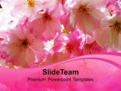 Blossoms Beauty Nature PowerPoint Templates PPT Themes And Graphics 0213