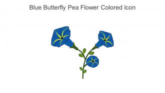 Blue Butterfly Pea Flower Colored Icon In Powerpoint Pptx Png And Editable Eps Format