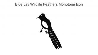 Blue Jay Wildlife Feathers Monotone Icon In Powerpoint Pptx Png And Editable Eps Format