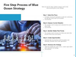 Blue Ocean Strategy Innovation Experience Representation Leadership Framework