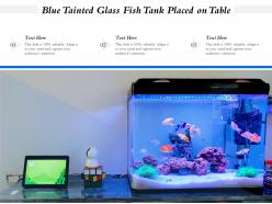 Blue Tainted Glass Fish Tank Placed On Table