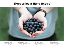 Blueberries in hand image