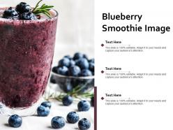 Blueberry smoothie image