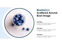 Blueberrys scattered around bowl image