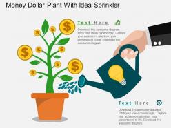 Bm money dollar plant with idea sprinkler flat powerpoint design