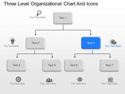 Bo three level organizational chart and icons powerpoint template