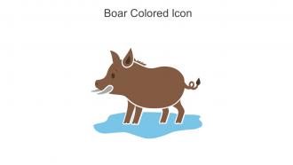 Boar Colored Icon In Powerpoint Pptx Png And Editable Eps Format