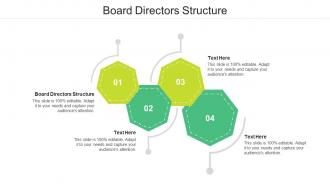 Board directors structure ppt powerpoint presentation gallery rules cpb
