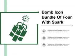 Bomb icon bundle of four with spark