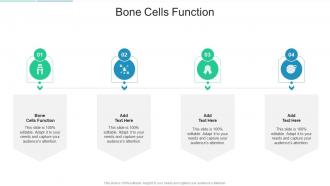 Bone Cells Function In Powerpoint And Google Slides Cpb