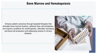 Bone Marrow And Hematopoiesis Hematopoiesis Hemopoiesis PPT Graphics ACP