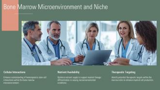 Bone Marrow Microenvironment And Niche PPT Graphics ACP