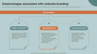 Boosting Product Corporate And Umbrella Brands Identity Branding CD V Captivating Aesthatic