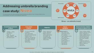 Boosting Product Corporate And Umbrella Brands Identity Branding CD V Researched Engaging
