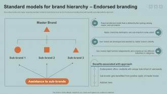 Boosting Product Corporate And Umbrella Standard Models For Brand Branding SS V