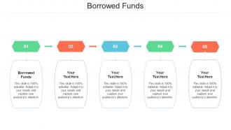Borrowed Funds Ppt Powerpoint Presentation Show Example Introduction Cpb