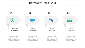 Borrower credit card ppt powerpoint presentation pictures visuals cpb