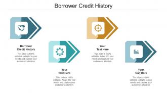 Borrower Credit History Ppt Powerpoint Presentation Inspiration Aids Cpb
