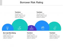 Borrower risk rating ppt powerpoint presentation pictures inspiration cpb