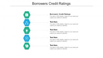 Borrowers credit ratings ppt powerpoint presentation infographic template inspiration cpb