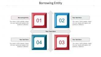 Borrowing Entity Ppt Powerpoint Presentation Infographics Layout Cpb