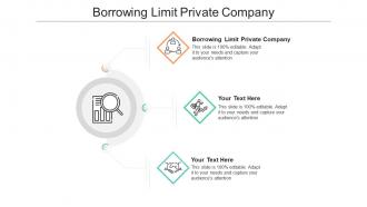 Borrowing limit private company ppt powerpoint presentation file model cpb