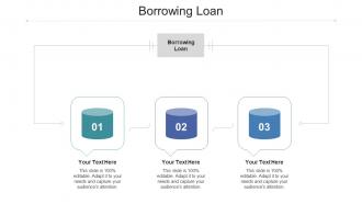 Borrowing Loan Ppt Powerpoint Presentation Ideas Skills Cpb