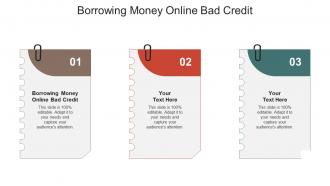 Borrowing money online bad credit ppt powerpoint presentation show diagrams cpb