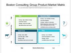 Boston consulting group product market matrix
