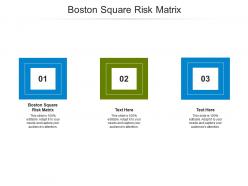 Boston square risk matrix ppt powerpoint presentation graphics cpb