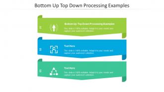 Bottom up top down processing examples ppt powerpoint presentation file formats cpb