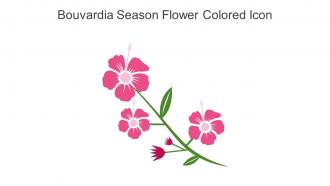 Bouvardia Season Flower Colored Icon In Powerpoint Pptx Png And Editable Eps Format