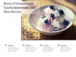 Bowl of dessert with vanilla icecream and blue berries