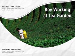 Boy working at tea garden