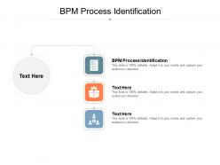 Bpm process identification ppt powerpoint presentation file samples cpb