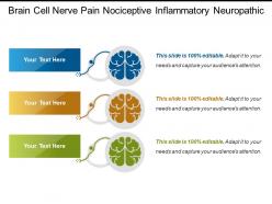 Brain cell nerve pain nociceptive inflammatory neuropathic