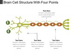 Brain cell structure with four points