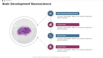 Brain Development Neuroscience Ppt Slides Cpp PPT Example