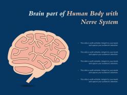 Brain part of human body with nerve system