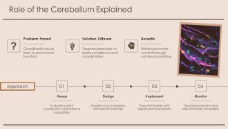Brain Sagittal View Cerebrum Cerebellum Brainstem Overview PPT Example AT Captivating Impressive